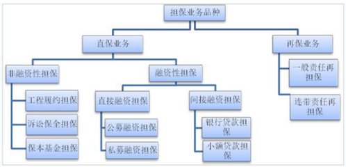 2017-2022年中國(guó)擔(dān)保+互聯(lián)網(wǎng)市場(chǎng)專(zhuān)項(xiàng)調(diào)研與投資戰(zhàn)略咨詢