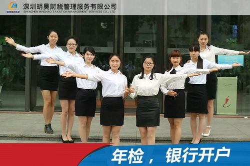 一般納稅人申請(qǐng)與擔(dān)保業(yè)務(wù)融合服務(wù) 石巖企業(yè)的合規(guī)路徑